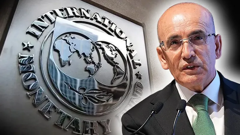 IMF'ten Türkiye için mali şeffaflık raporu!