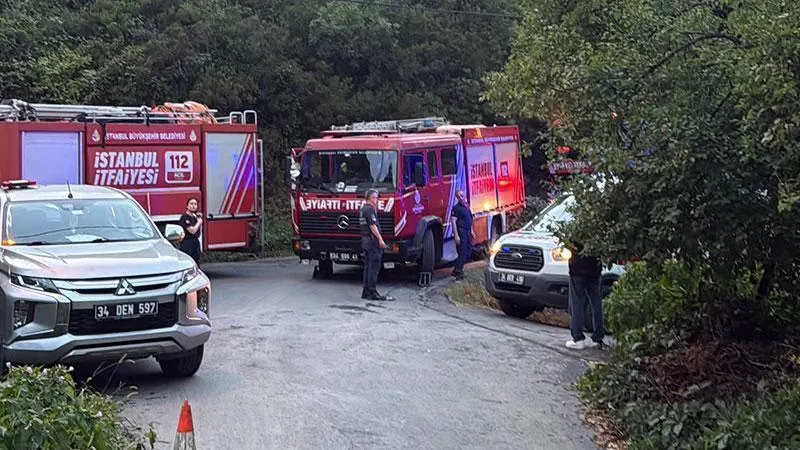 Sarıyer'de orman yangınında 1 itfaiyeci yaralandı