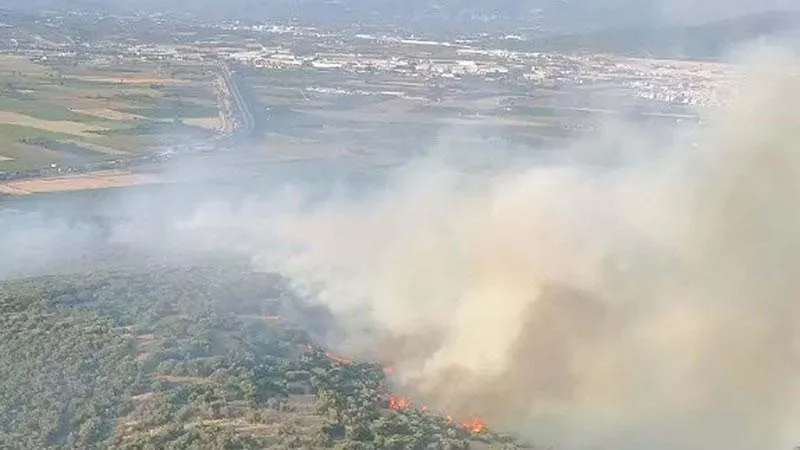 İzmir’de çıkan orman yangını kontrol altında
