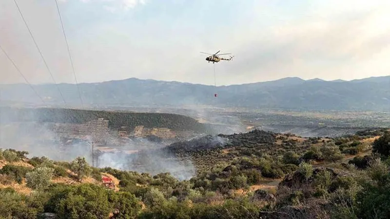 Manavgat'ta orman yangını çıktı