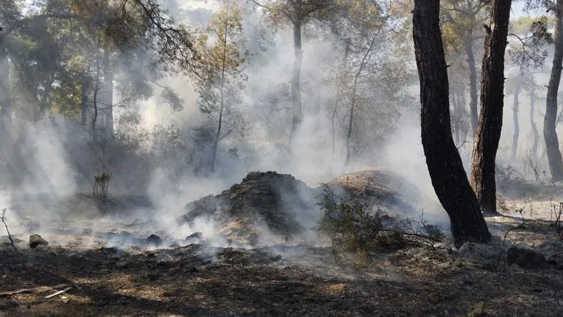 Antalya'da orman yangını