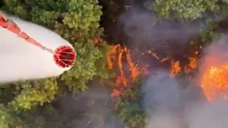 Antalya'nın Aksu ilçesinde orman yangını