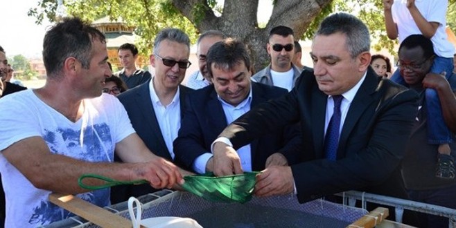 Çanakkale'de levrek yavruları denize bırakıldı