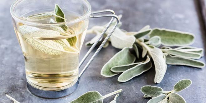 Adaçayı'nın sağlığa faydaları neler