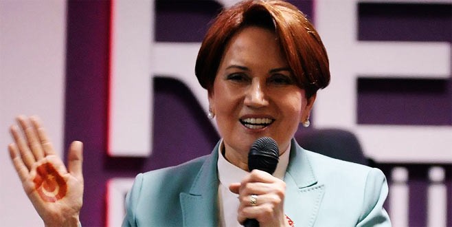 Akşener'in partisine Türkeş ve bozkurt yasağı