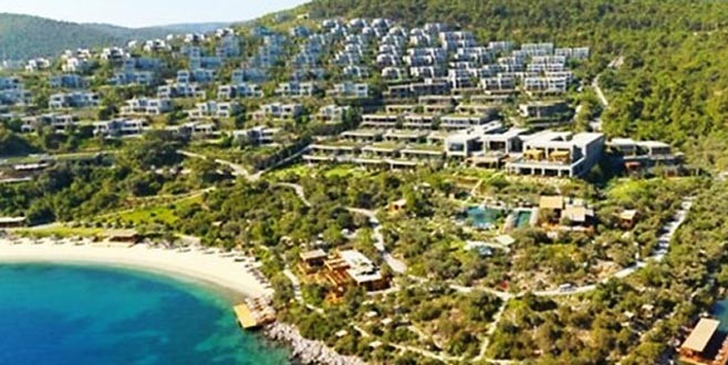 Bodrum'da milyonluk villaları domuzlar bastı!
