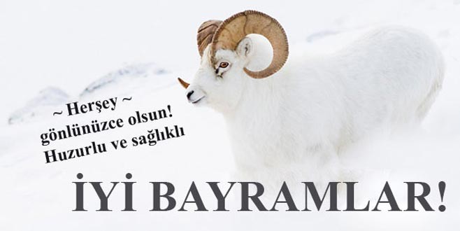 Kurban Bayramınız kutlu olsun!