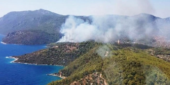 Milas'ta orman yangını çıktı