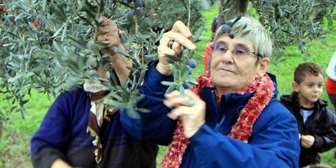 Canan Karatay'dan zeytinyağ önerisi