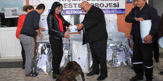 Kartal Belediyesi'nden gönüllü hayvan severlere destek