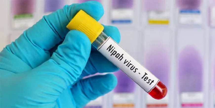 Nipah virüsü geri geldi