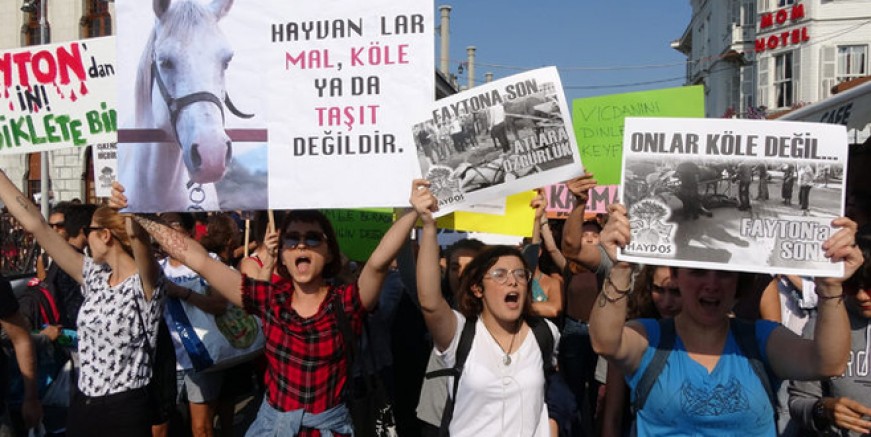 Büyükada'da fayton protestosu!