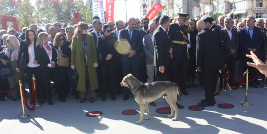 Tören alanına giren köpek ilgi odağı oldu