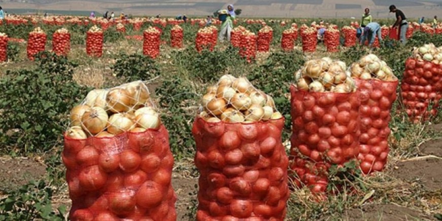 Soğan stokçularına ağır darbe