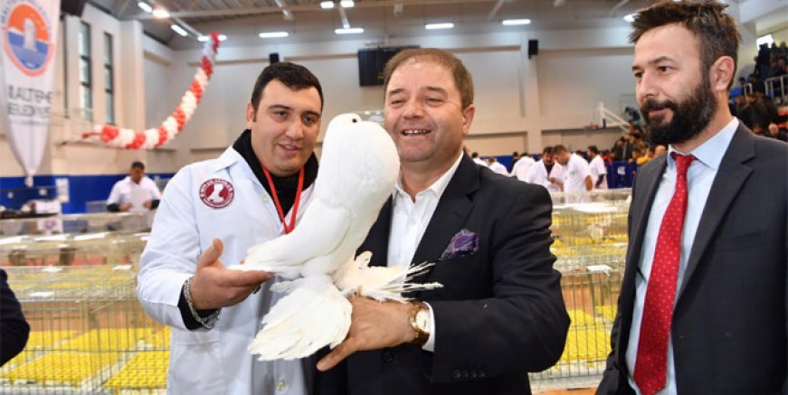 Türkiye’nin güvercinleri Maltepe'de görücüye çıktı