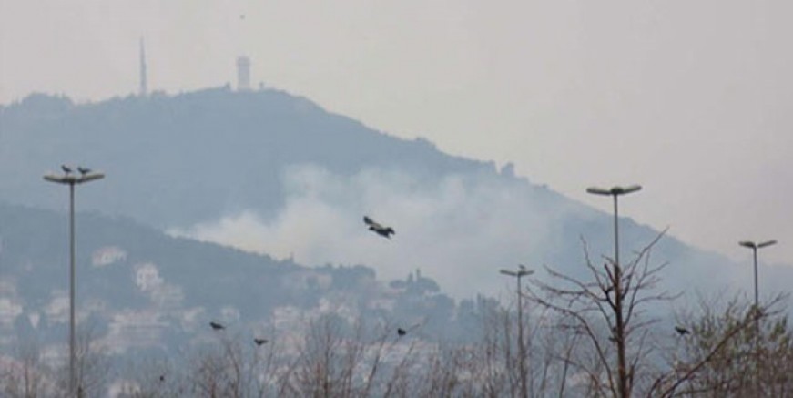 Büyükada'da korkutan yangın!
