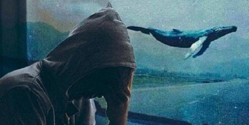 5 bakanlık Mavi Balina'ya karşı harekete geçiyor