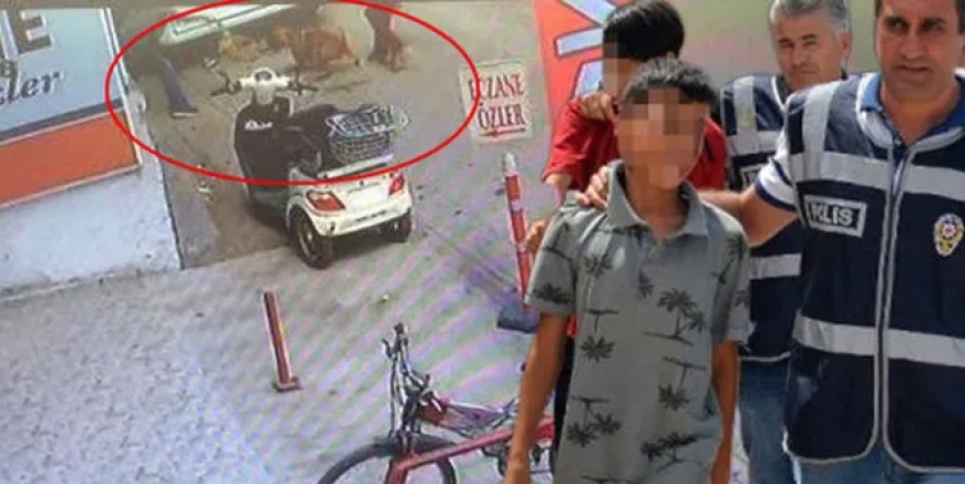 Kediyi 'Pitbull'a parçalatan çocuktan şok sözler!
