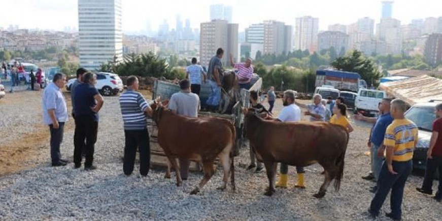 Kurban Bayramı'nda kesim yeri arbedesi