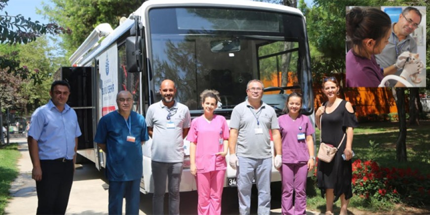 VetBüs ile sokak hayvanları emin ellerde