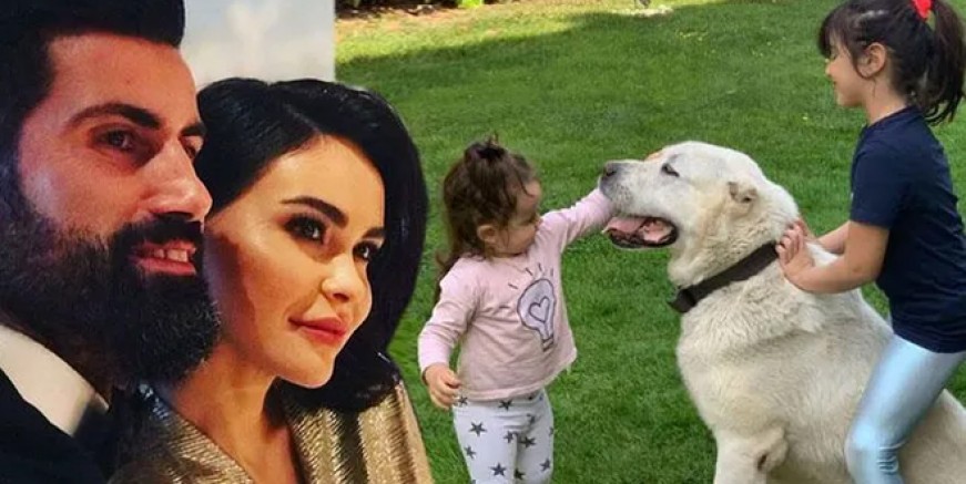 Volkan Demirel köpeği Dost'u kaybetti