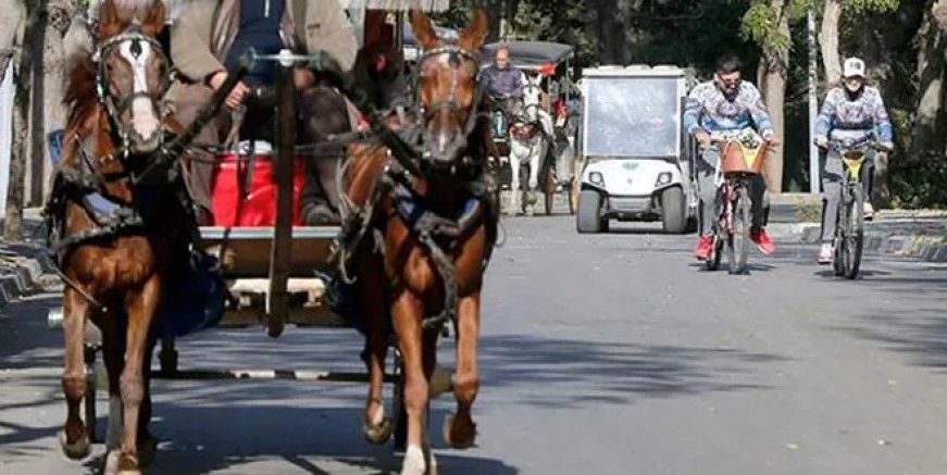 Adalar'daki faytonlarla ilgili flaş gelişme