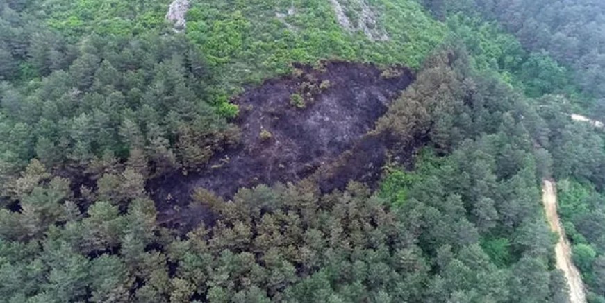 İşte Aydos'ta yanan ormanlık alan