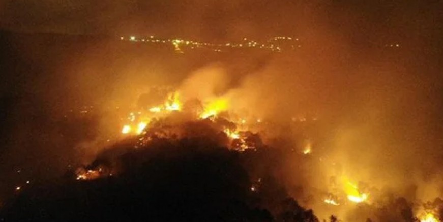 İstanbul güne orman yangınıyla uyandı