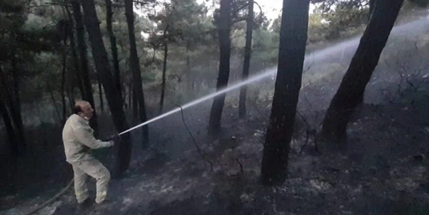 Kartal Aydos Ormanları'nda korkutan yangın