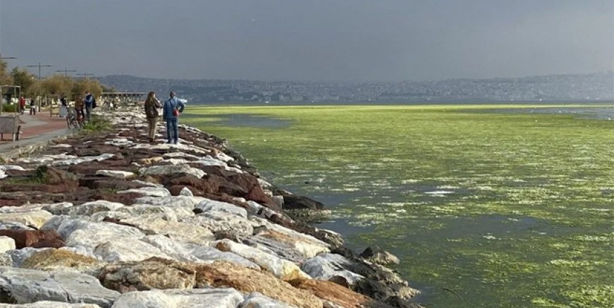 İzmir'de denizin rengi yeşile döndü