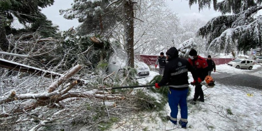 Kartal'da kar yağışı ağaçları devirdi