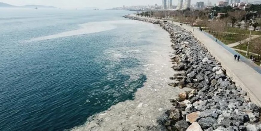 Kartal sahilindeki 'kirliliğin sırrı çözüldü
