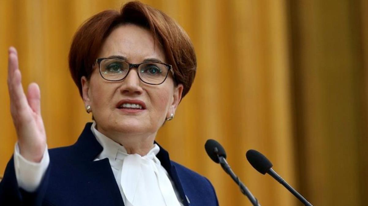 Meral Akşener'den 'Zevzeklik' açıklaması