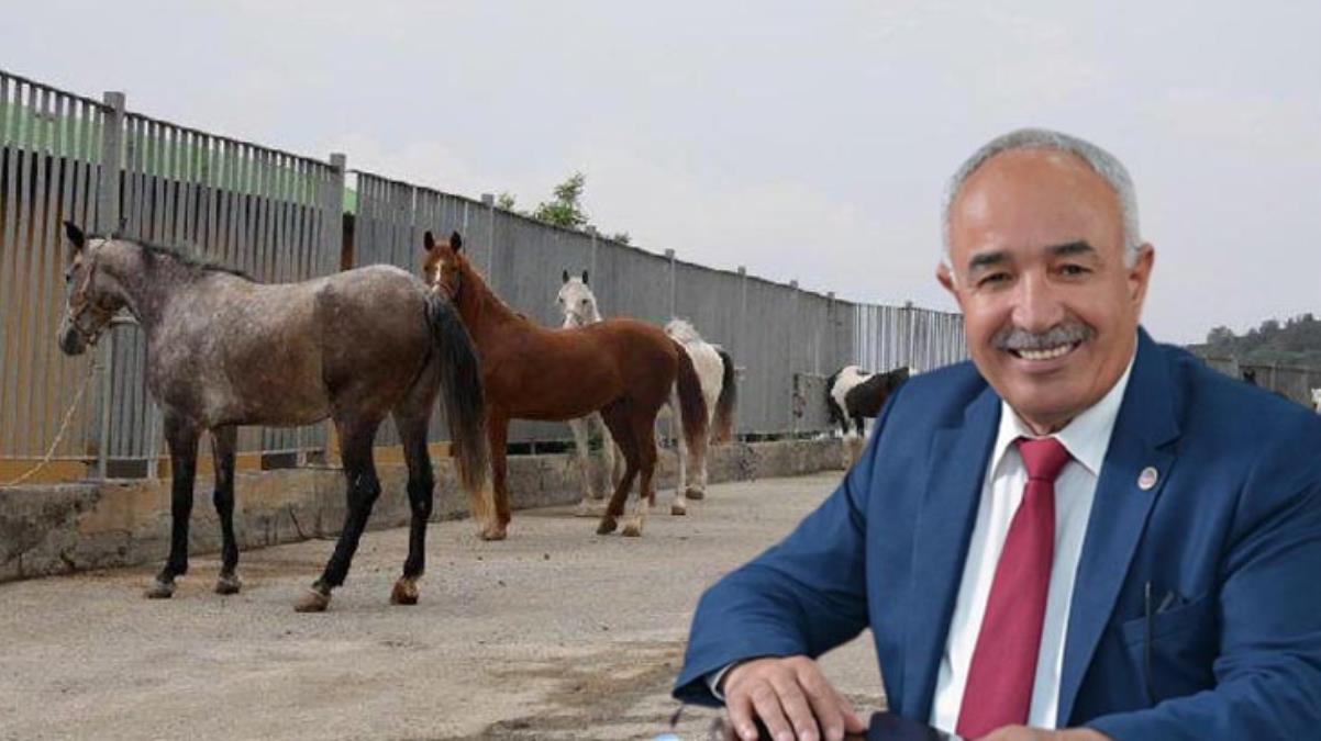 Fadıl Keskin'den kayıp atlar açıklaması