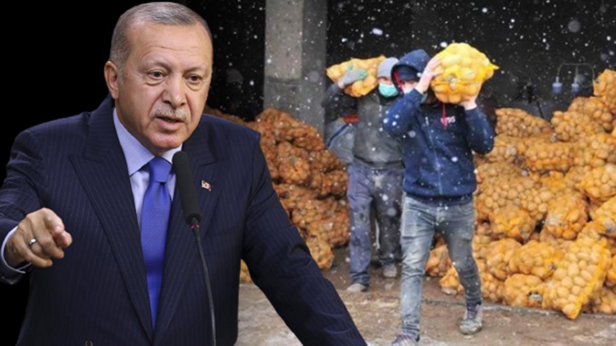 TMO üreticiden patates ve soğan almaya başladı