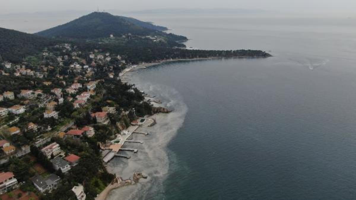 Büyükada'yı 'salya' korkusu sardı