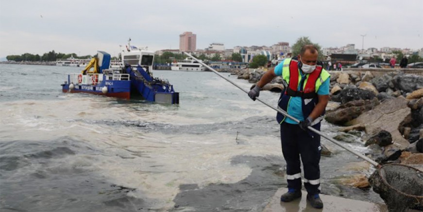 Kartal sahilleri deniz salyasından temizleniyor