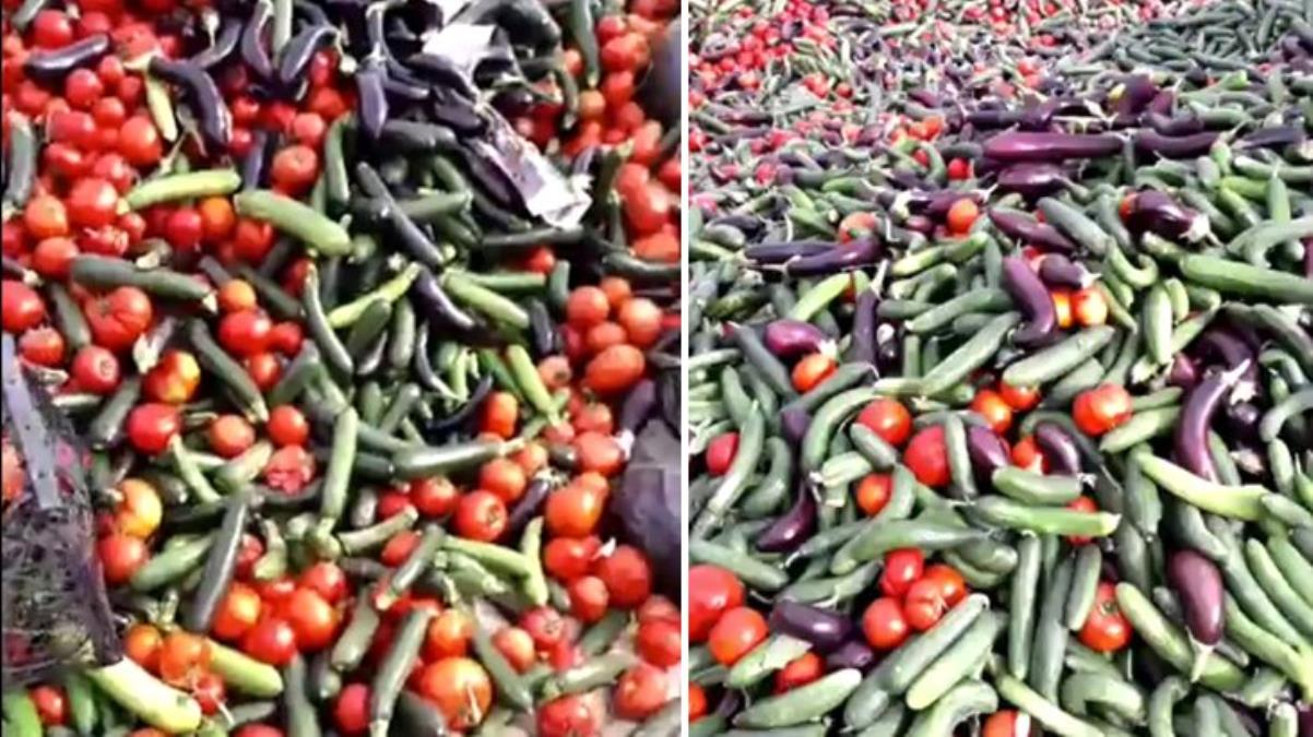 Marketler cep yakıyor ürün tarlada çürüyor!