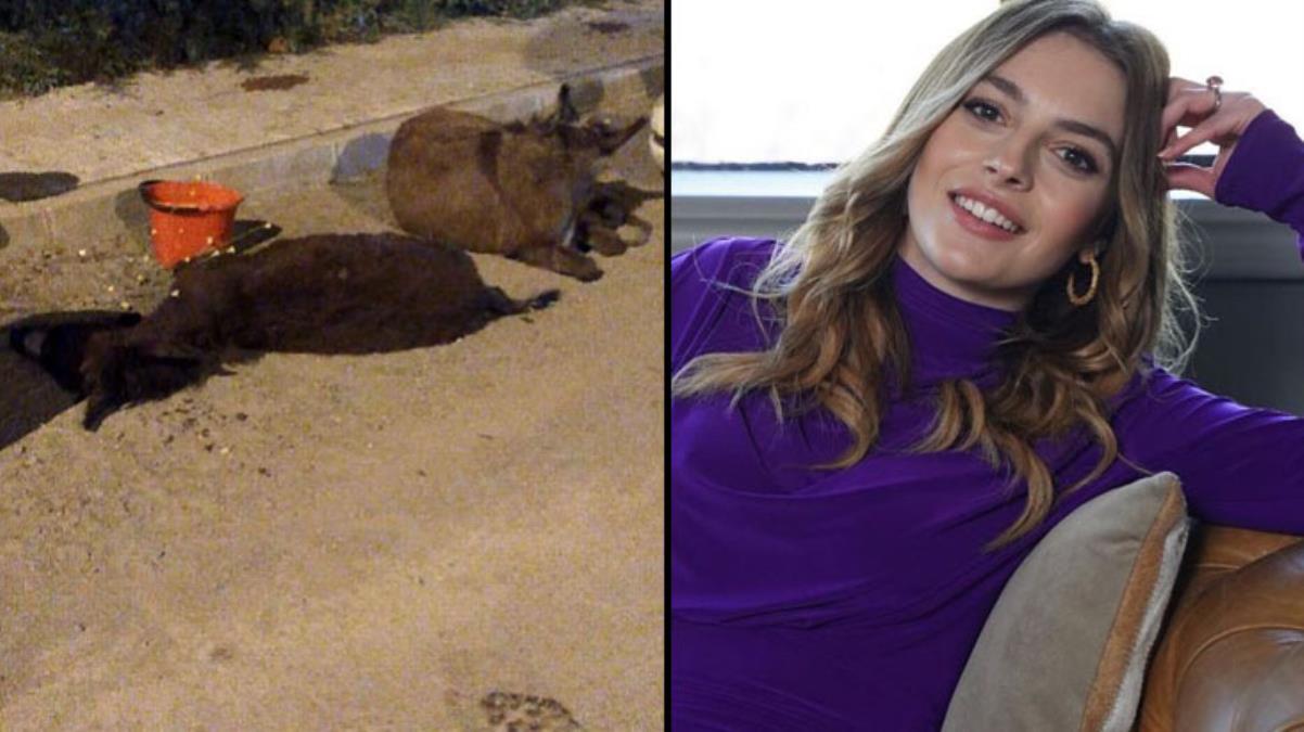 Melis Sezen gönülleri fethetti