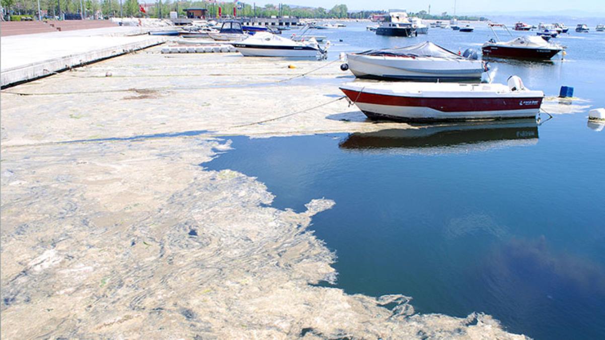 Bakan Kurum'dan deniz salyası açıklaması