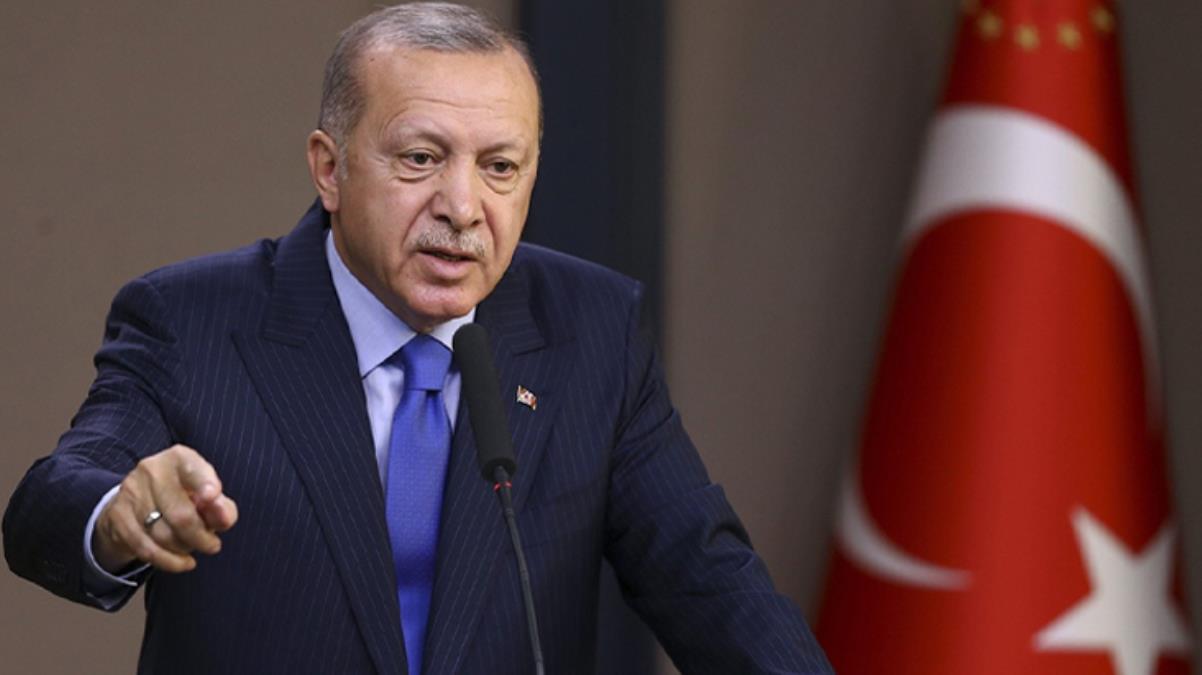 Erdoğan'dan hayvan hakları yasasıyla ilgili talimat