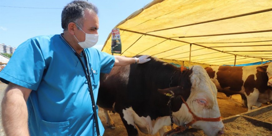 ​Kurban Pazarı’nda koronavirüse karşı sıkı önlemler
