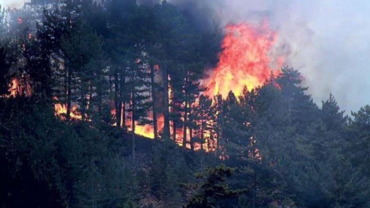 İstanbul dahil 18 kentte ormanlara giriş yasaklandı