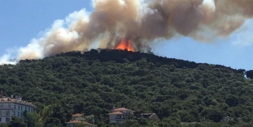 Heybeliada'da orman yangını çıktı