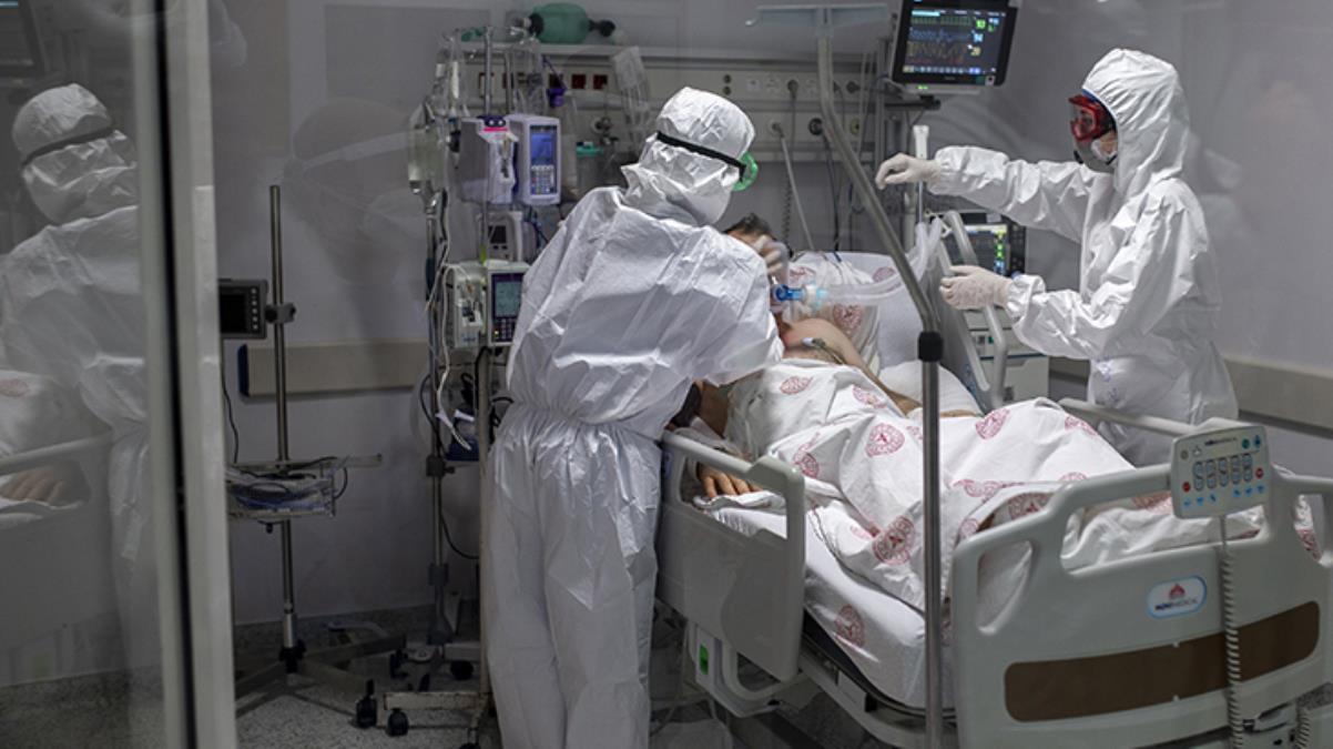Türkiye'de koronavirüse 245  kurban daha