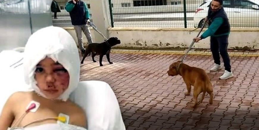 Asiye Ateş'in tedavisinde yeni gelişme