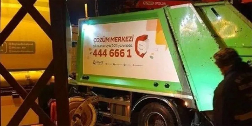 İstanbul Beykoz'da köpek katliamı!