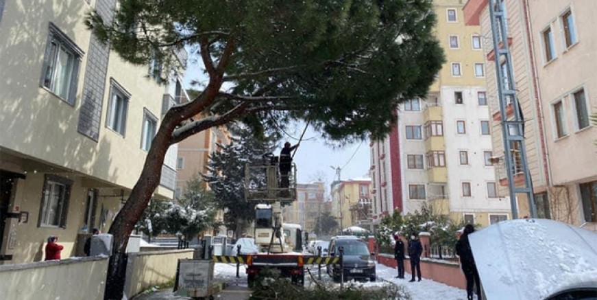 Kartal Belediyesi'nden kırılan ağaçlara anında müdahale