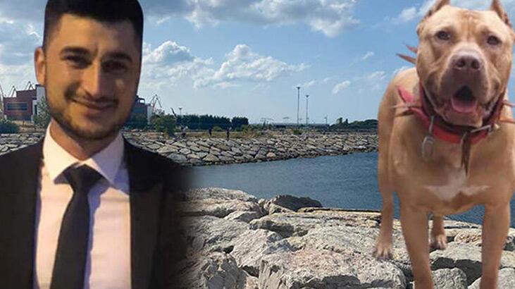 Pendik'te pitbull saldırısı hakkında flaş karar!