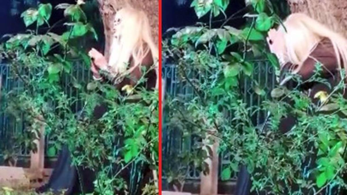 Zerrin Özer mezarlıkta şarkı söyledi